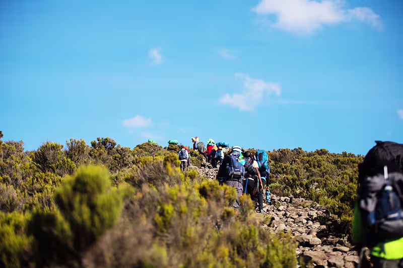 Altitude Sickness on Kilimanjaro: Prevention & Treatment