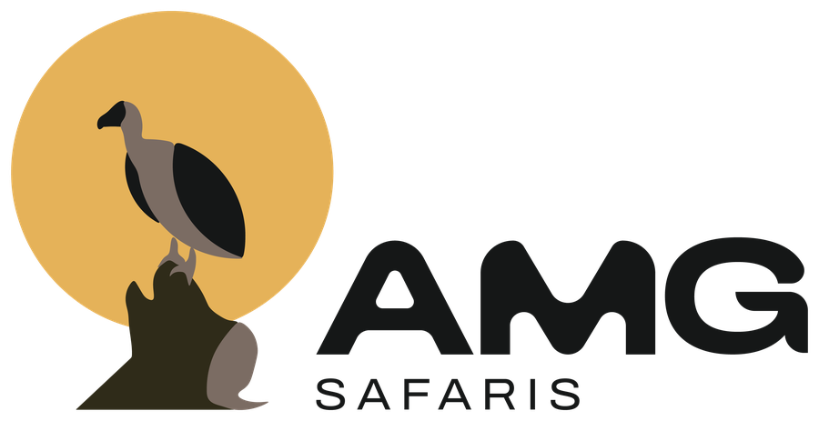 AMG Safaris